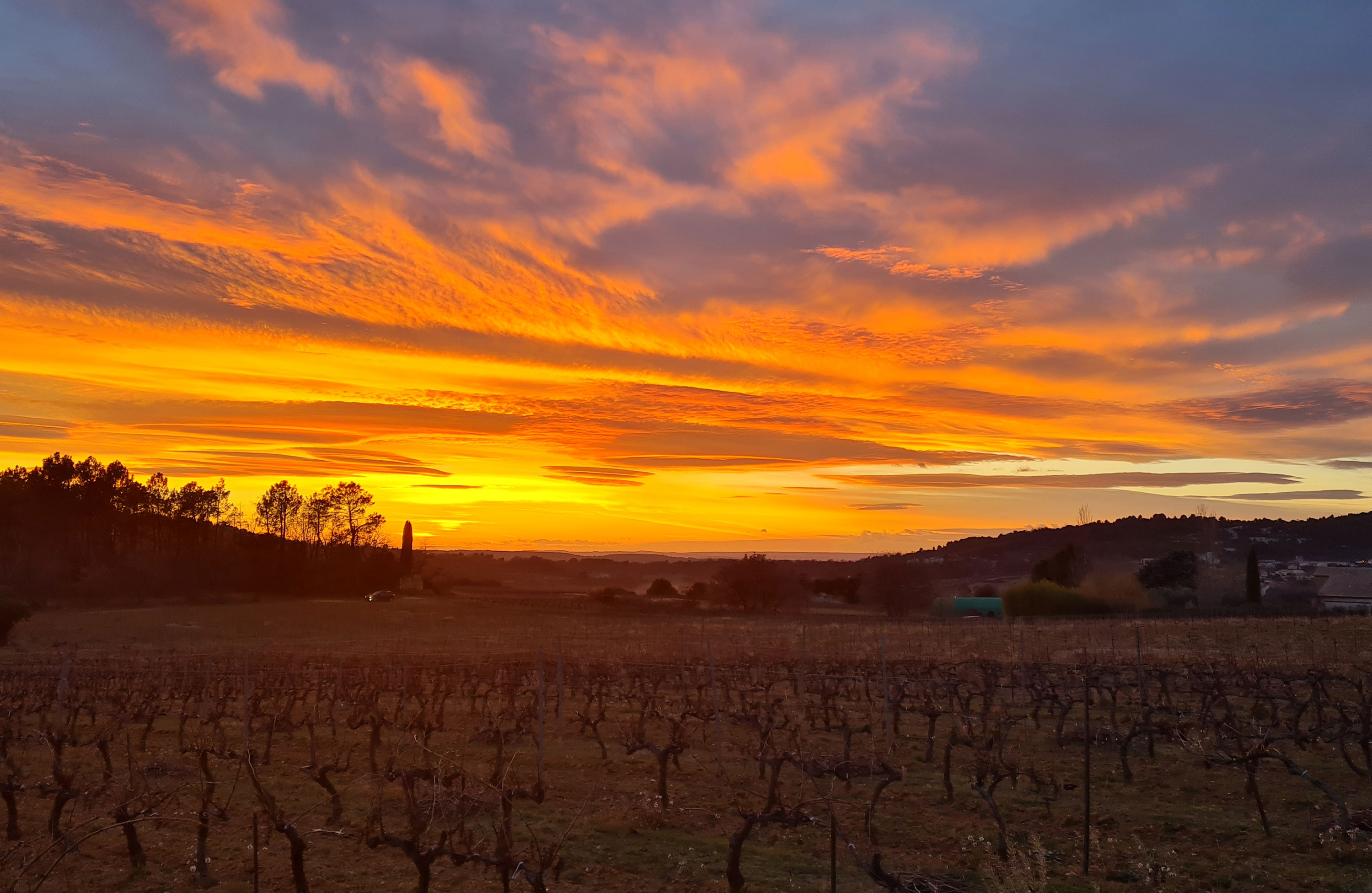 Domaine Grands Puys